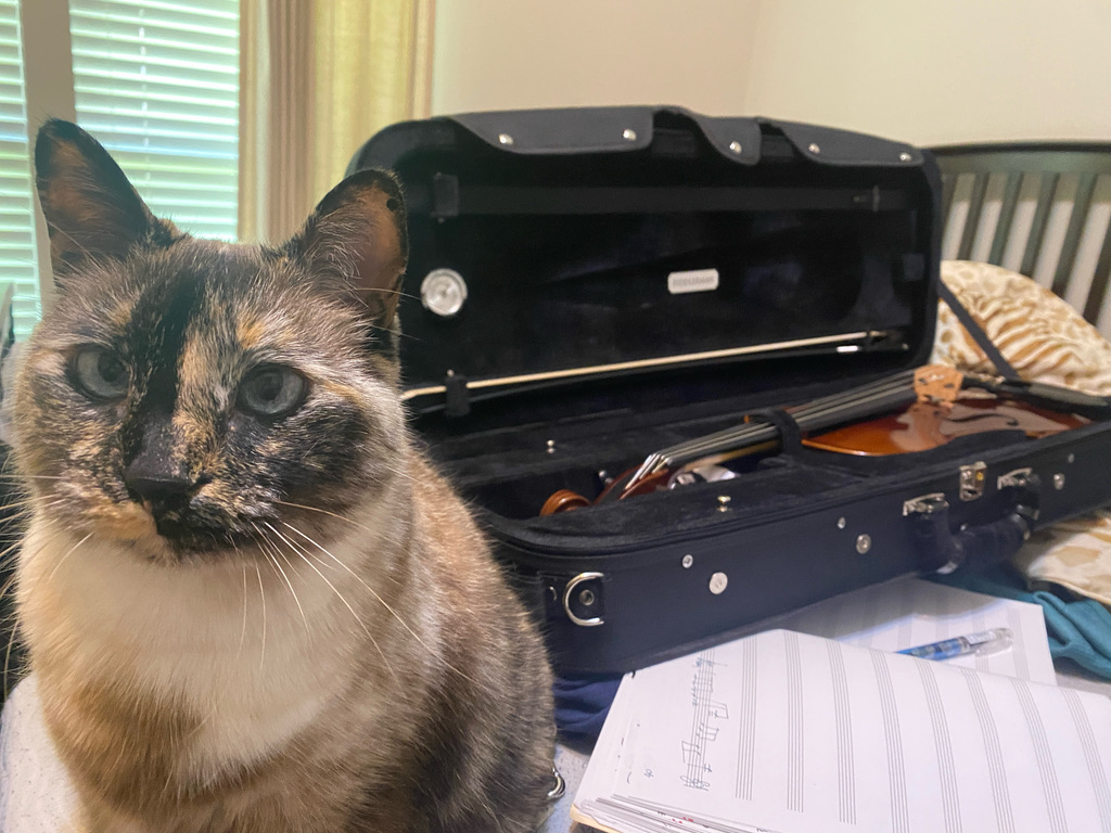 a catten, a 5-string viola, sheet music WIP