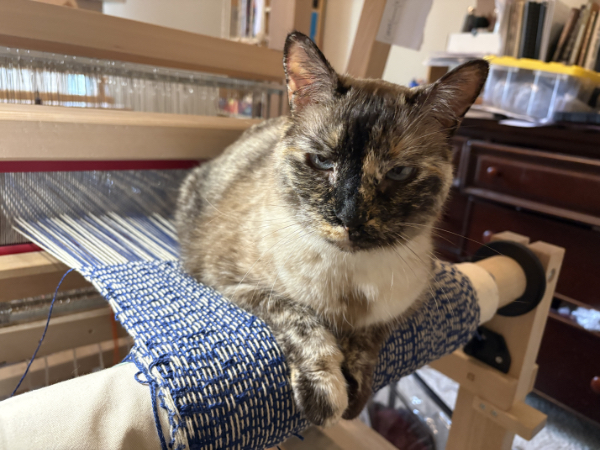 cat loafs on a handweaving WIP